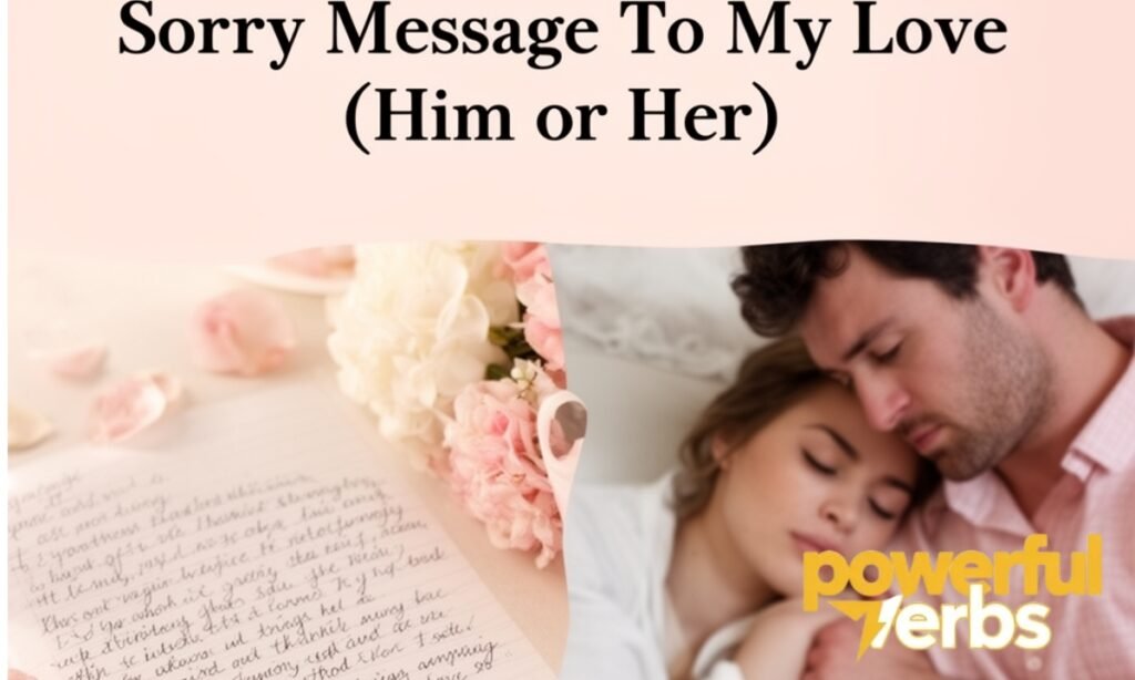 Sorry Message To My Love (Him or Her)